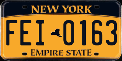 NY license plate FEI0163