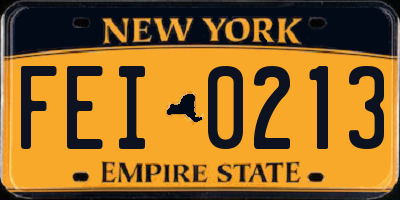 NY license plate FEI0213
