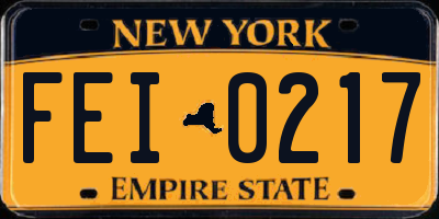 NY license plate FEI0217