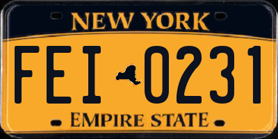 NY license plate FEI0231