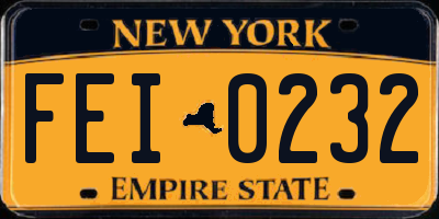 NY license plate FEI0232