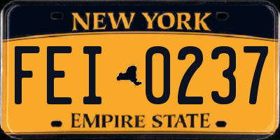 NY license plate FEI0237