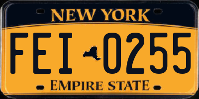 NY license plate FEI0255