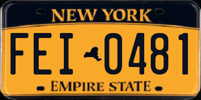 NY license plate FEI0481