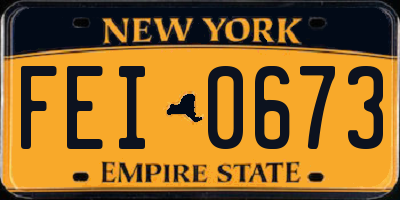 NY license plate FEI0673