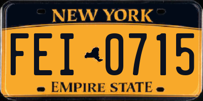 NY license plate FEI0715