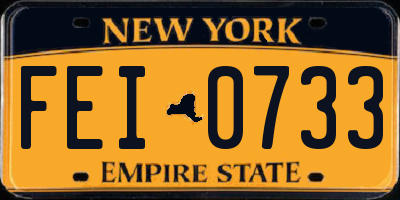 NY license plate FEI0733