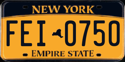 NY license plate FEI0750