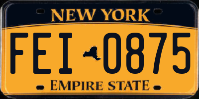 NY license plate FEI0875