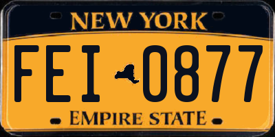 NY license plate FEI0877