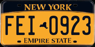 NY license plate FEI0923