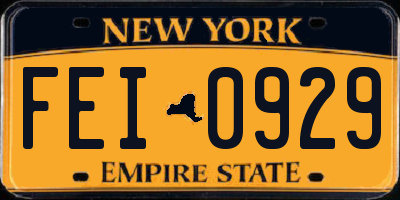 NY license plate FEI0929