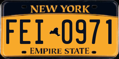 NY license plate FEI0971