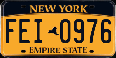 NY license plate FEI0976