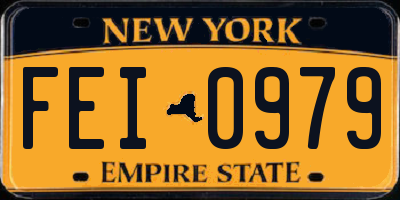 NY license plate FEI0979