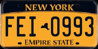 NY license plate FEI0993