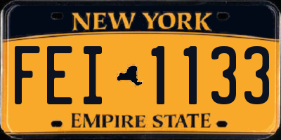 NY license plate FEI1133