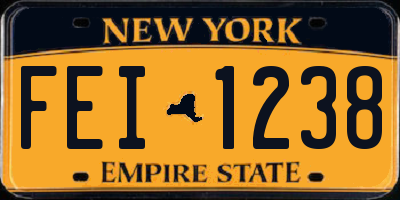 NY license plate FEI1238