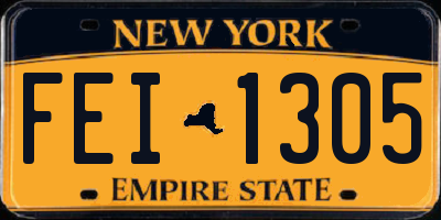 NY license plate FEI1305
