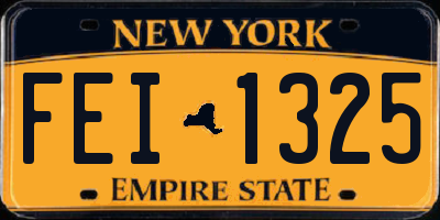 NY license plate FEI1325