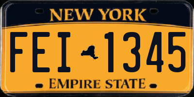 NY license plate FEI1345