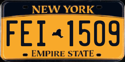 NY license plate FEI1509