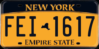 NY license plate FEI1617