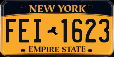 NY license plate FEI1623