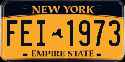 NY license plate FEI1973