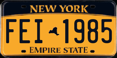 NY license plate FEI1985