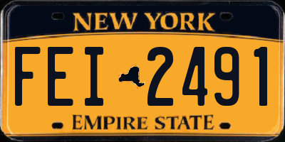 NY license plate FEI2491
