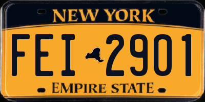 NY license plate FEI2901