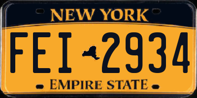 NY license plate FEI2934