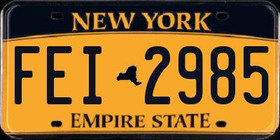 NY license plate FEI2985