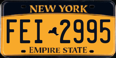 NY license plate FEI2995