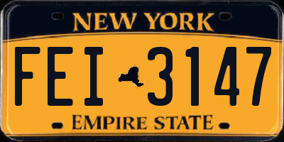 NY license plate FEI3147