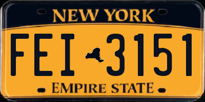 NY license plate FEI3151
