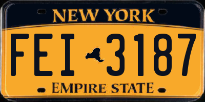 NY license plate FEI3187