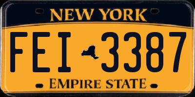 NY license plate FEI3387