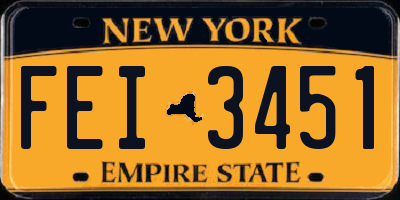 NY license plate FEI3451