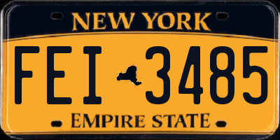 NY license plate FEI3485
