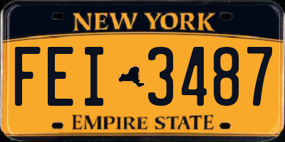 NY license plate FEI3487
