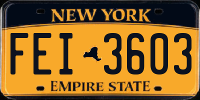 NY license plate FEI3603