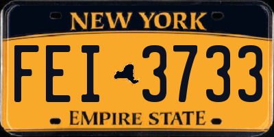 NY license plate FEI3733