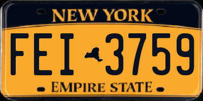 NY license plate FEI3759
