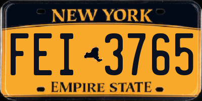 NY license plate FEI3765