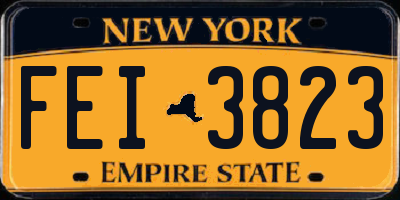 NY license plate FEI3823