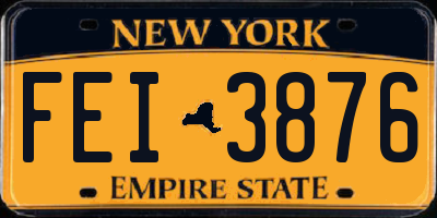 NY license plate FEI3876