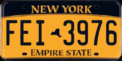 NY license plate FEI3976
