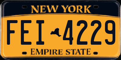 NY license plate FEI4229